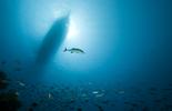 Marine Environment Protection Committee 82nd session (MEPC 82)  Summary Report