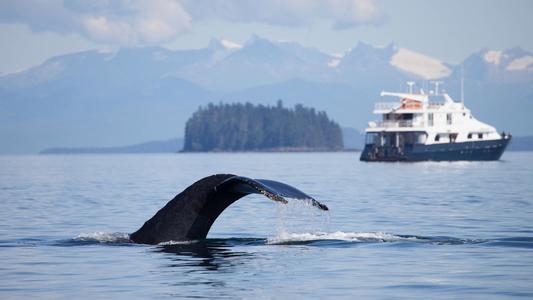 Pollution Prevention and Response SUB-COMMITTEE 12th SESSION (PPR 12) SUMMARY REPORT