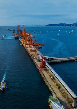 Navigating MEPC 82 Insights - Outcomes