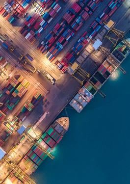 Navigating MEPC 81: Insights & Implications