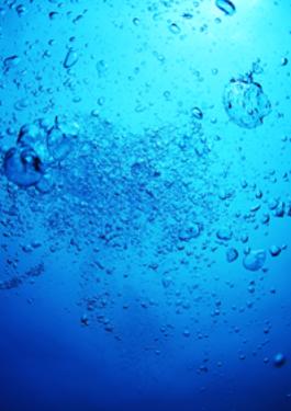 MEPC Extraordinary Session : A decisive moment for IMO’s Decarbonization Strategy